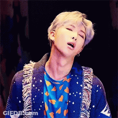 Kpop BTS Rm Cat Filter GIF