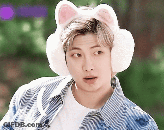 Kpop BTS Rm Confused Cat Ears GIF