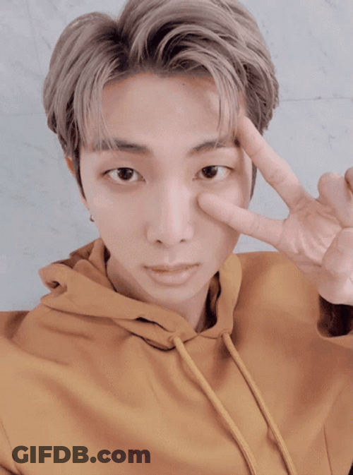 Kpop BTS Rm Hairstyle Peace Sign GIF