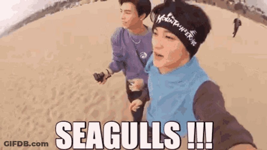 Kpop Nct Member Mark Lee Chasing Seagull GIF