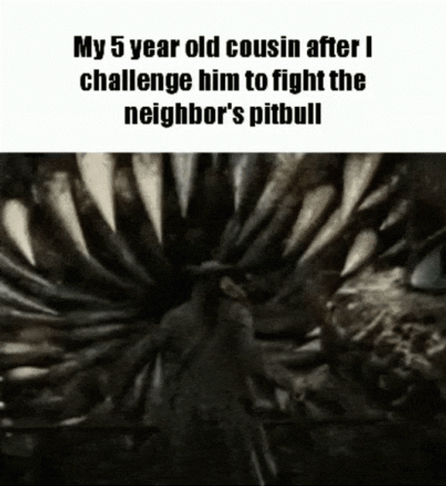Kraken Pirates Of The Caribbean GIF