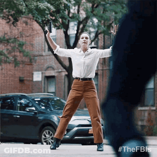 Kristin Gaines Alexa Davalos The Fbi Hands Up GIF
