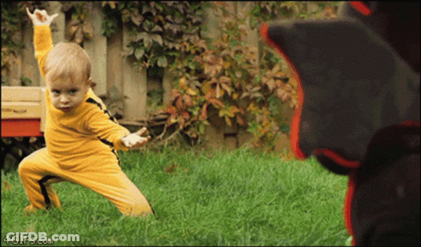 Kung Fu Baby Vs Dinosaur GIF