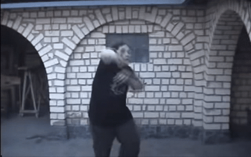 Kung Fu Fighting Moves GIF