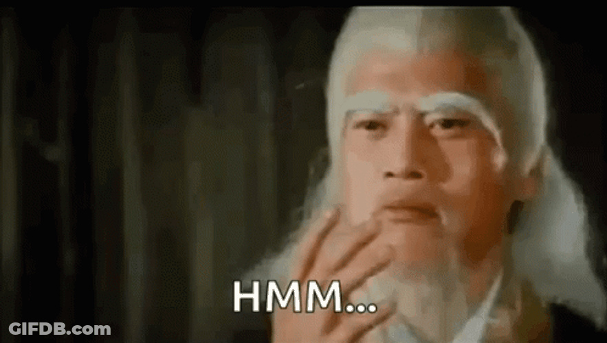 Kung Fu Master Hmm GIF
