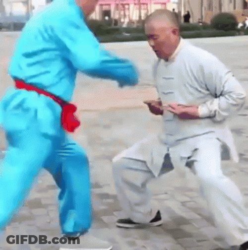 Kung Fu Men Practicing GIF