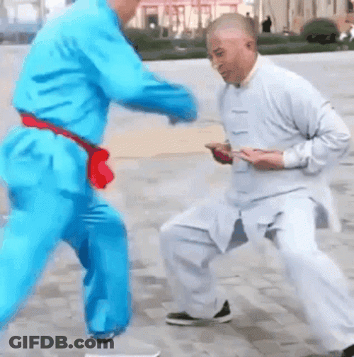 Kung Fu Nuts Ball GIF