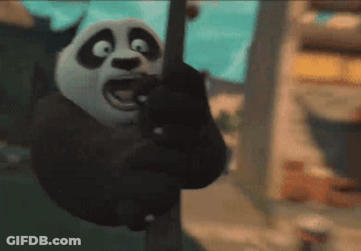 Kung Fu Panda Following Wolf Boss GIF