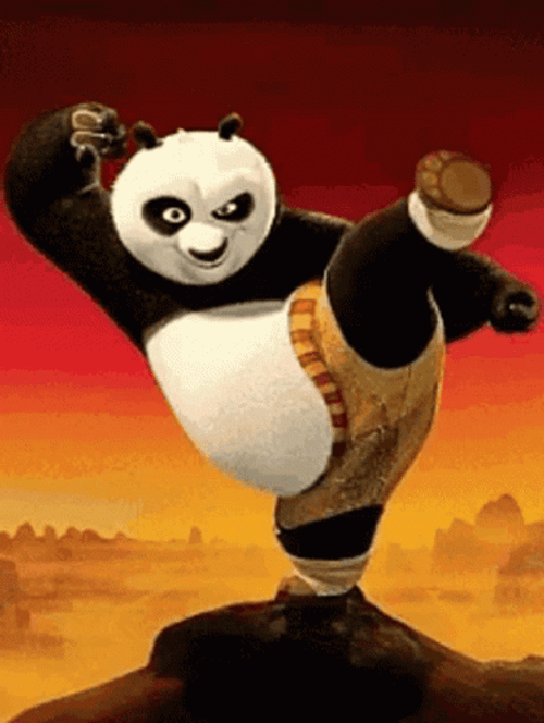 Kung Fu Panda Movie GIF