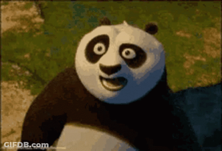 Kung Fu Panda Po Astonished Reaction GIF