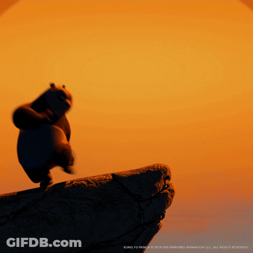 Kung Fu Panda Po Practicing Moves GIF
