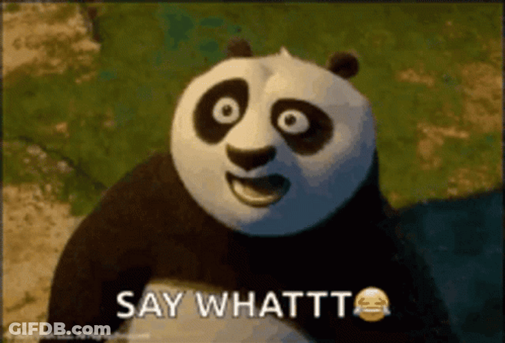 Kung Fu Panda Po Say What GIF