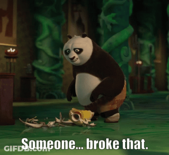 Kung Fu Panda Someone Broke That GIF