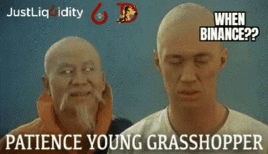 Kung Fu Patience Young Grasshopper GIF