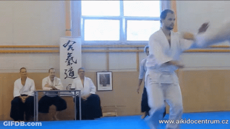 Kung Fu Practice Class GIF