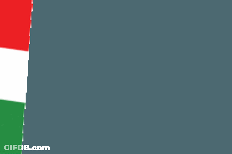 Kurdish Flag Sticker GIF