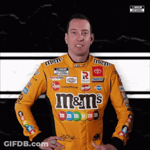 Kyle Busch Facepalm GIF