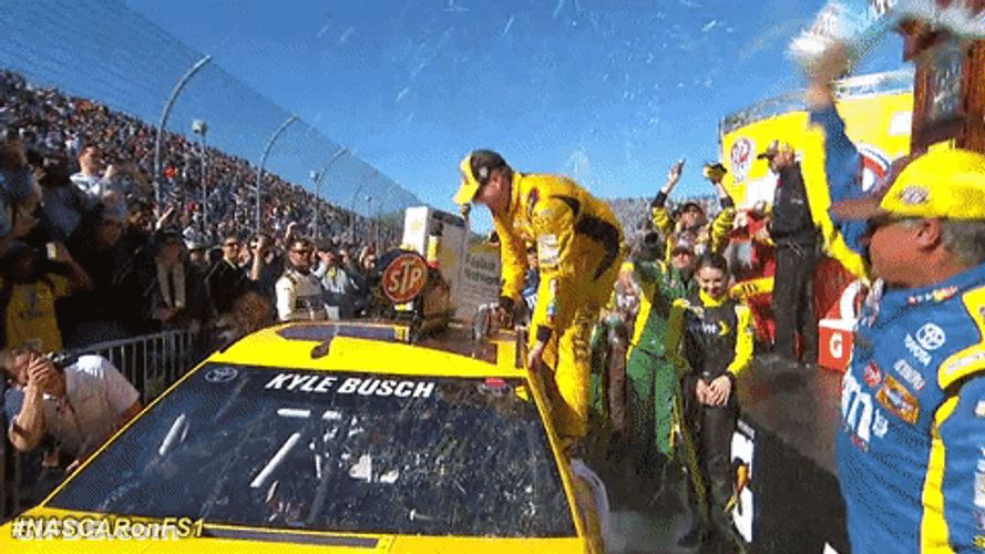 Kyle Busch Nascar Winning Momment GIF