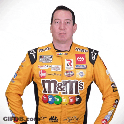 Kyle Busch Pointing His Finger GIF