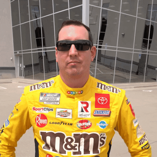 Kyle Busch Shaking His Head GIF