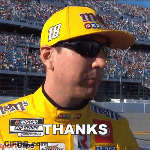 Kyle Busch Thanks GIF