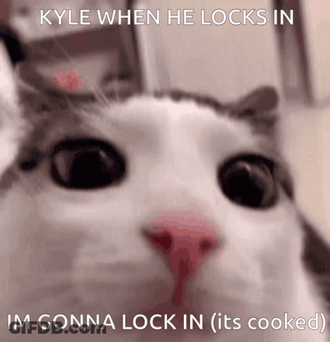 Kyle Cat Saying It's Cooked GIF