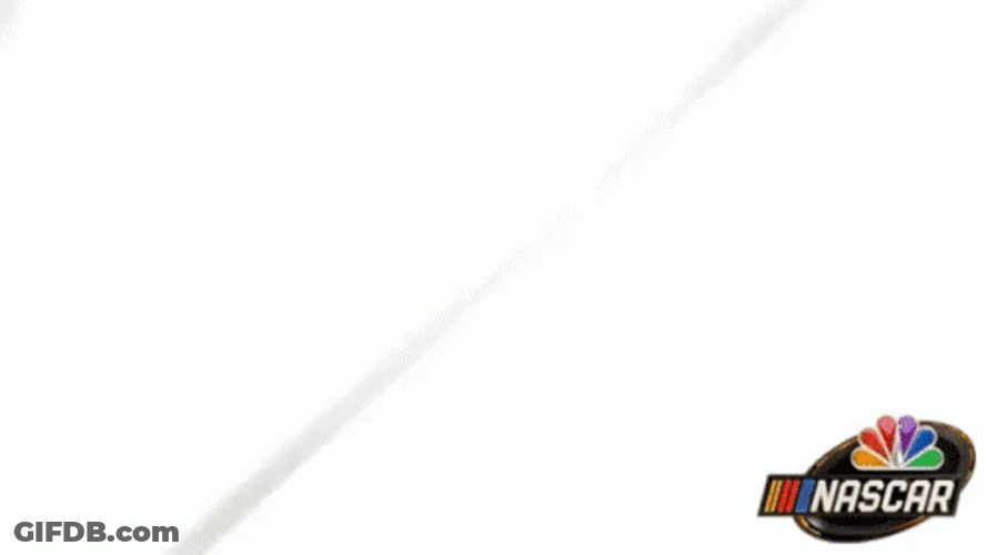 Kyle Larson Poster GIF