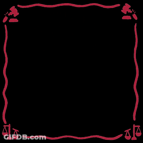 Kyle Rittenhouse Kenosha GIF