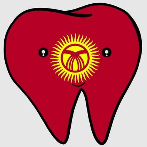 Kyrgyzstan Flag Tooth GIF