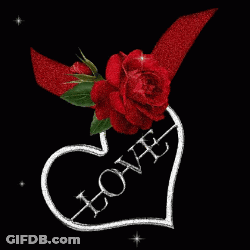 L GIF