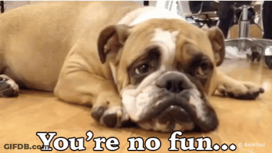 L7 Weenie Sad Dog Lying On Floor GIF