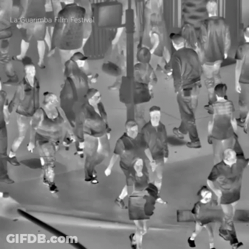 La Guarimba Film Festival Crowd GIF