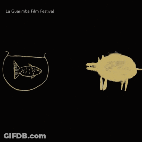 La Guarimba Film Festival Poster Fish And Pig GIF