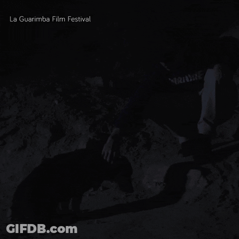 La Guarimba Film Festival Poster Man And Dog GIF