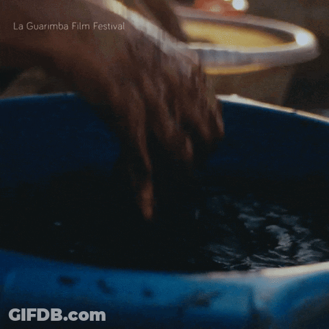 La Guarimba Film Festival GIF