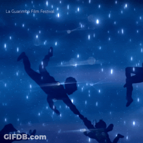 La Guarimba Film Festival Silhouettes Flying GIF