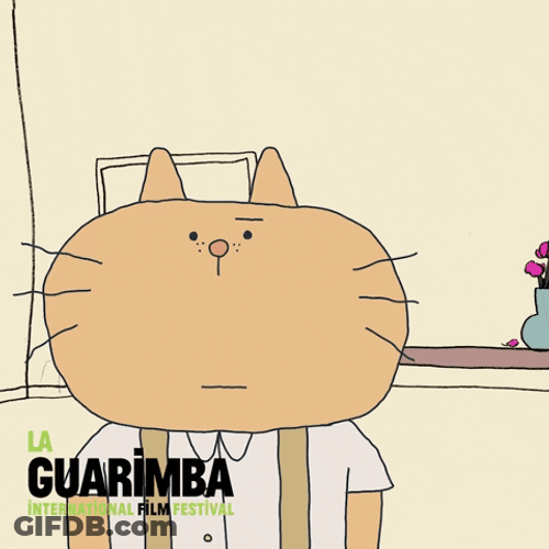 La Guarimba Sad Cat Bowing Down GIF