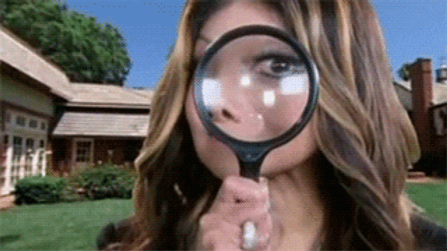 La Toya Jackson Research Spying GIF