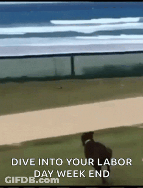 Labor Day Weekend Get Away GIF
