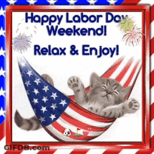 Labor Day Weekend Relax And Enjoy Kitty GIF