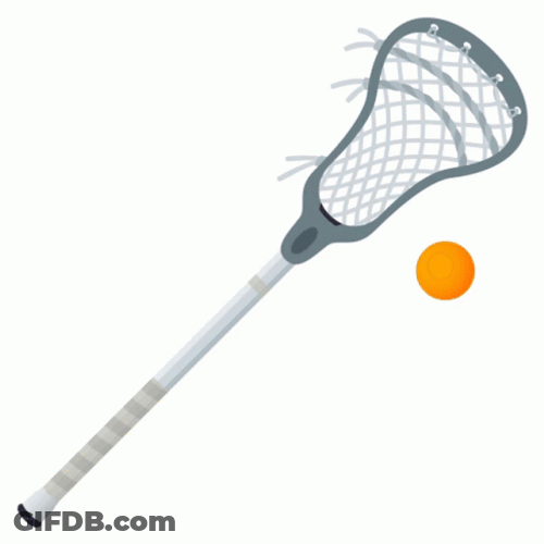Lacrosse Activity Sticker GIF