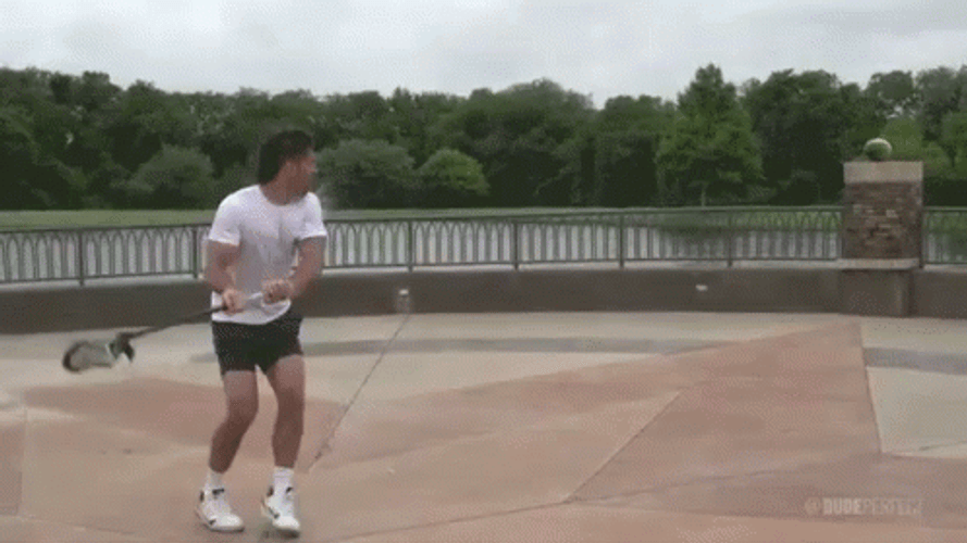 Lacrosse Agricultural Sciences GIF
