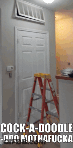 Ladder In Front Of Door With Cock-A-Doodle GIF