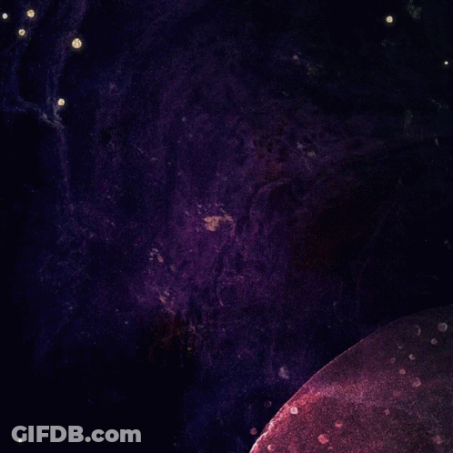 Ladies Night Out Every Thursday Wing Ding GIF