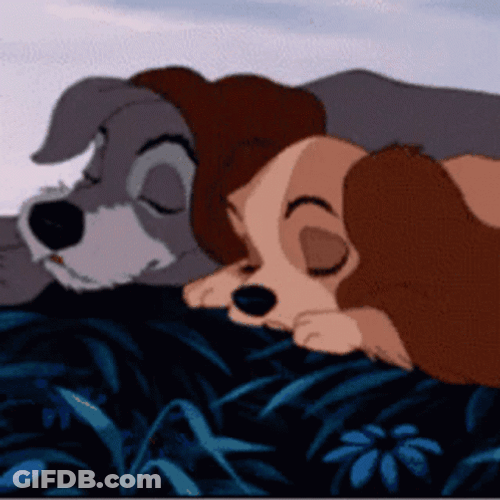 Lady And The Tramp GIF