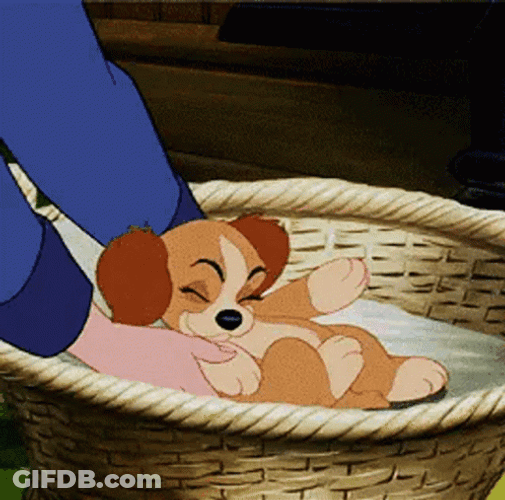 Lady And The Tramp Blanket Scene GIF