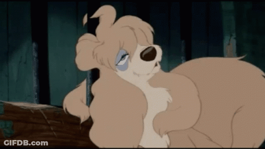 Lady And The Tramp GIF