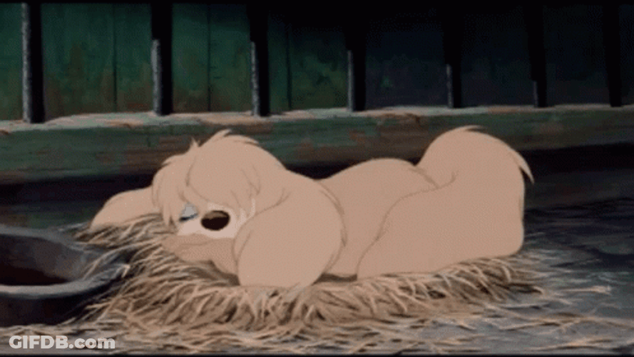 Lady And The Tramp Peg Sleeping GIF