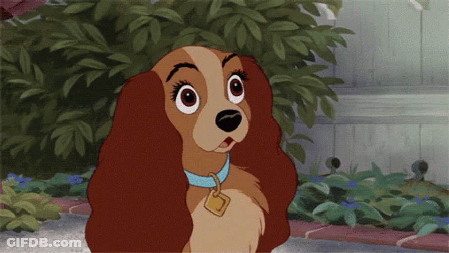 Lady And The Tramp Shocked GIF