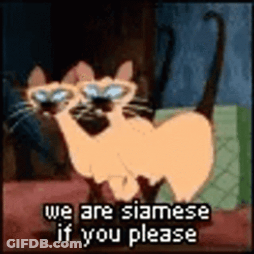 Lady And The Tramp Siamese Cats GIF